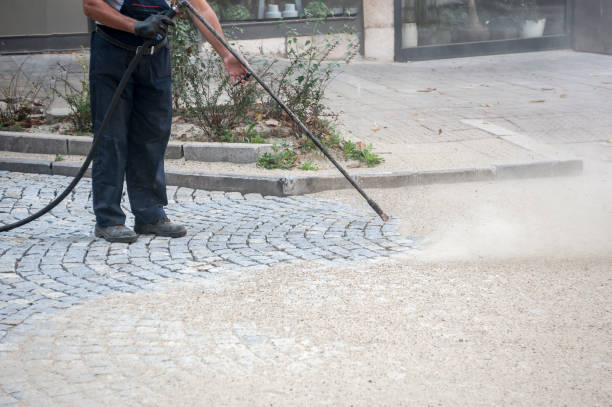 Best Fence Cleaning  in St Augustine South, FL